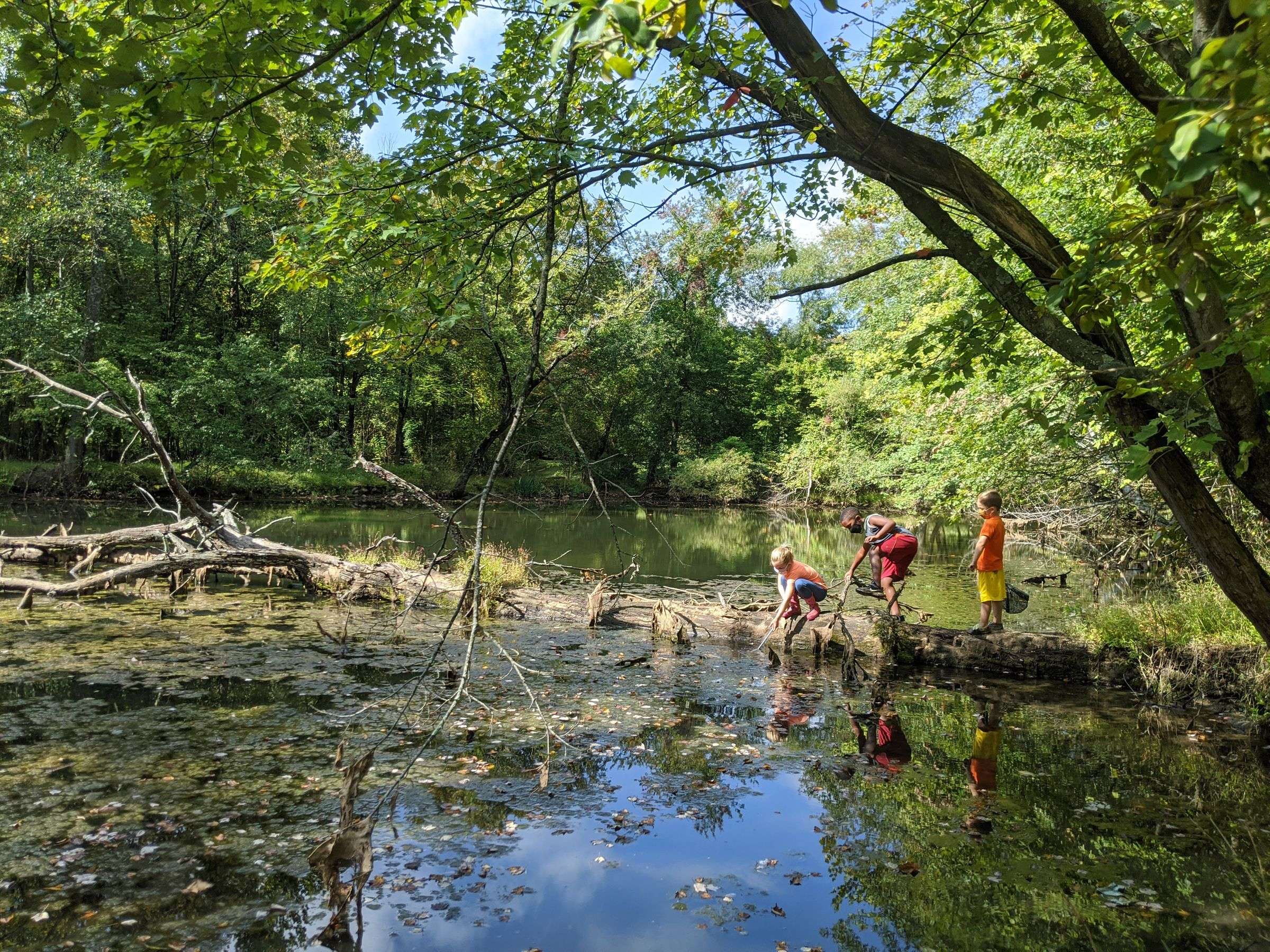 Traditional Day Camps Summer Camps McDonogh School